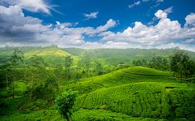 Sri lanka has more than 2,550 years of continuous written history by means of the mahawansha, and was also mentioned in several ancient indian texts. Sri Lanka Travel Restrictions Covid Tests Quarantine Requirements Wego Travel Blog