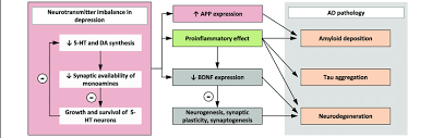 Impact Of Neurotransmitter Imbalance In Depression On Ad Pathology Download Scientific Diagram