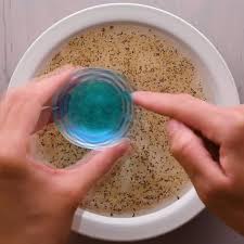 Melissa Eaddy (meaddy22)