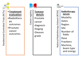 Chemotherapy destroys cancer cells by interfering with the way they multiply. Improving Outcomes For Cancer Patients Npl
