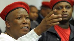 How else does one make sense of his demand that the south african health products. Malema And Eff Mps Suspended For Heckling South African Leader Bbc News