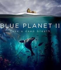 Pin By Jamie William Bruce Hatfield On Things To Watch And Read Blue Planet 2 Bbc Blue Planet Blue Planet Ii