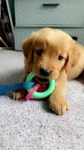 Happy birthday to my lovely Myla wishing you a brand new beautiful day and  many more blessings ahead of the year