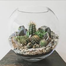 Desert World Terrarium Medium Cactus Terrarium Succulent Terrarium Terrariums Kits