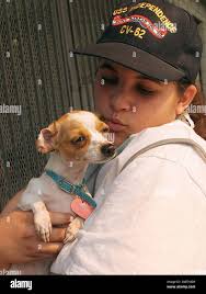 Evacuation center ca hi-res stock photography and images