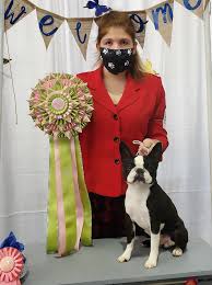 The search tool above returns a list of breeders located nearest to the zip or postal code you enter. Boston Terrier Club Of Virginia Home Facebook