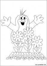 Ausmalbilder Von Der Kleine Maulwurf Zum Drucken Coloring Pictures Coloring Pages Coloring Books