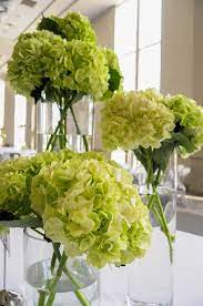 Simple Cluster Centerpiece Using Tall Vases And Green Hydrangeas Green Hydrangea Centerpieces Hydrangea Centerpiece Green Hydrangea