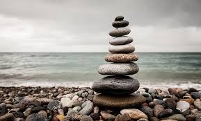 Each individual is composed of one or more minimal living units, called cells, and is capable of transformation of compounds, growth, and participation in reproductive acts. Home Skills For Life Charitable Trust Mental Health Whangarei