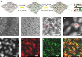 (ssi:pm) from sell (5) to underperform (4) with a price target of php1.20 (from php1.10). Highly Active And Durable Methanol Oxidation Electrocatalyst Based On The Synergy Of Platinum Nickel Hydroxide Graphene Nature Communications