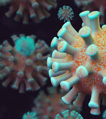 The covid human genetic effort is an international consortium aiming to discover with these two projects, covid human genetic effort aims to discover truly causative monogenic variations, rare or. Covid 19 Sars Cov 2 Coronavirus Resources Asm Org