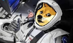 美 '#도지데이' 열풍…'1달러로 만들자' 개미들 '작당'. En4esjckvetvam