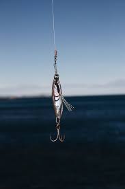 Explore origin 0 base skins used to create this skin; 10 000 Best Fishing Photos 100 Free Download Pexels Stock Photos