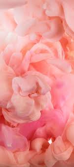 We've gathered more than 5 million images uploaded by our users and sorted them by the most popular ones. 220 Pink Backgrounds Ideas In 2021 Pink Pink Wallpaper Pink Aesthetic