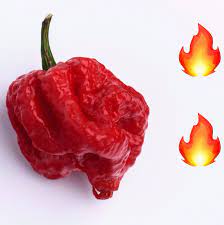 Cel mai iute ardei din lume!!! Ce Se IntamplÄƒ DacÄƒ MÄƒnanci Cel Mai Iute Ardei Din Lume