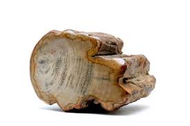 Beautiful hand cut monte lake agate, wrapped in a unique copper braid. Washington State Rockhounding Location Guide Map Rockhound Resource