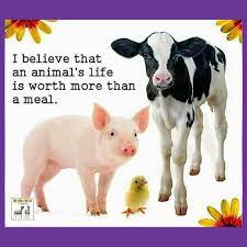 To Be Fair Humans And Animals Should Be Equal But Life Isn T Always Fair Animals Are Precious And Worth No Less Than Huma Animals Vegan Store Going Vegan