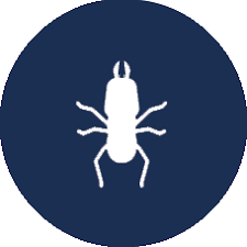 We then treat windows and doors, as well as under siding, to keep the pests out. Lakeland Pest Mosquito Control Hometeam Pest Defense