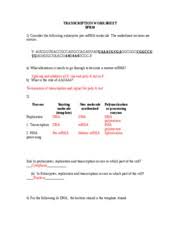 Transcription translation practice worksheet with answers. Trna And Mrna Transcription Worksheet With Answer Key 16 Best Images Of 13 1 Rna Worksheet Answer Key Chapter What Are The Steps Of Transcription Coastline Movie