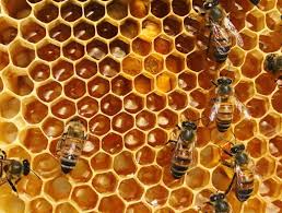 Contribute to apache/hive development by creating an account on github. How To Tell If You Have A Strong Hive Girls Be Like Bee Keeping Hives