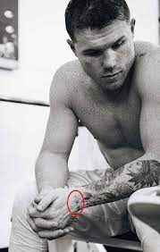 Canelo alvarez interupted preparations for his rematch with gennady golovkin to get a tattoo of his daughter. Canelo Alvarez S 14 Tattoos Their Meanings Body Art Guru