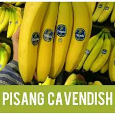 So the banana flavoring wasn't really based off of our pisang embun, but more from pisangs in general. Bibit Pisang Cavendish Super Manado Home Facebook