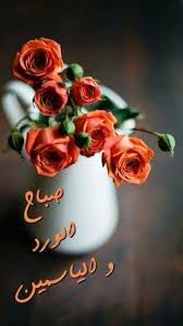 صباح الورد و الياسمين Good Morning Flowers Good Morning Greetings Good Morning Beautiful Quotes