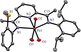 They can also be handy to have on hand to deal with flooding in the this compact and powerful water pump is fully portable and can be used in many settings and situations. Sulfide Oxidation By O Sub 2 Sub Synthesis Structure And Reactivity Of Novel Sulfide Incorporated Fe Ii Bis Imino Pyridine Complexes Abstract Europe Pmc