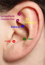 Freedom From Cravings A Fresh Start Cailey Halloran L Ac Dipl O M Acupuncture Clinic Of Boulder Zoneterapi Chakraer Alternativ Behandling