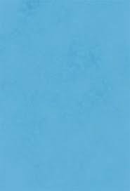 It has a hue angle of 193.2 degrees, a saturation of 67% and a lightness of 78.6. Passport Photo Blue Background