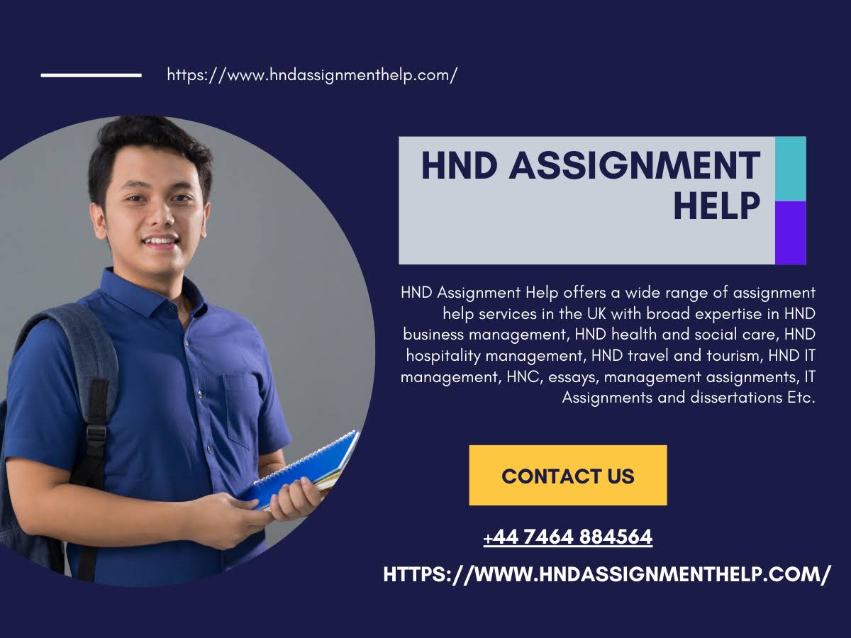 Assignment Help product image