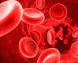I sintomi della leucemia dipendono dal numero di cellule tumorali circolanti e dai distretti dove se soffrite di sintomi che possono far pensare alla leucemia, il medico cercherà di scoprire quali siano. Leucemia Che Cos E Sintomi Cause Prevenzione E Trattamento Top Doctors