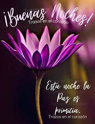 Buenas Noches En 2021 Frases Lindas De Buenas Noches Buenas Noches Noche