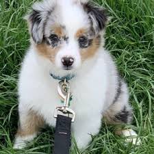 Reviews & Testimonials