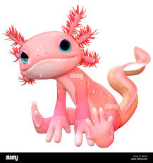 3D rendering of a cute pink toon axolotl isolated on white background Stock  Photo - Alamy