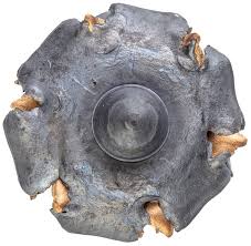 Image result for Colt 210