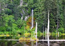 Check spelling or type a new query. Visit Mt St Helens 12 Top Rated Hiking Trails At Mount St Helens