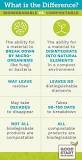 Biodegradable vs. Compostable: Definitions and Differences