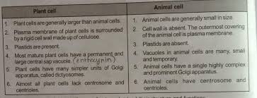 Cells differ in size, shape and structure and therefore carry out specialised functions. Difference Between Plant And Animal Cell With Suitable Figures Brainly In