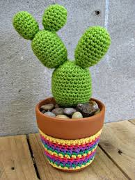 Contact crochet paso a paso on messenger. Cactus De Ganchillo Top 2020 Uma Manualidades