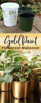 My Gilty Pleasure Gold Painted Flowerpots Garden Therapy Plastic Nursery Pots Plant Pot Diy Diy Flower Pots