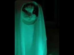 Kelab cerita hantu seram, sungai siput. Gambar Hantu Lawak