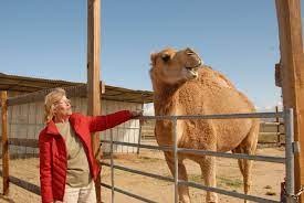 This year's conference is being hosted by the national zoo in washington, d.c.on september 25 and seven docents from big bear plan to attend. There Is A Lot To See At The Aec Exotic Animals At Local Zoo Now Open To Public Edwards Air Force Base News