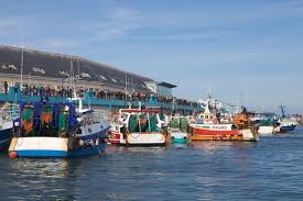 Landing The Catch Le Guilvinec Brittany Bretagne Finistere Photos