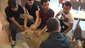 اسد آباد maddesinin geçtiği osmanlıca sözlükler. Ø£Ø³Ø¯ ÙÙŠ Ø´ÙˆØ§Ø±Ø¹ Ø¯Ù‡ÙˆÙƒ Ø§Ù„Ø¹Ø±Ø§Ù‚ÙŠØ© ÙˆÙ„Ø§ Ø£Ø­Ø¯ ÙŠØ®Ø´Ø§Ù‡ Ø£Ø®Ø¨Ø§Ø± Ø³ÙƒØ§ÙŠ Ù†ÙŠÙˆØ² Ø¹Ø±Ø¨ÙŠØ©