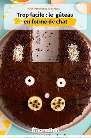 Gateau Chat Choco Noisette Recette Gateau Chat Gateau Anniversaire Facile Enfant Gateau De Chat