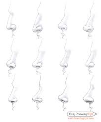 How To Draw Different Nose Types Easydrawingtips You can also ignore almost everything besides the ball, the wings.
