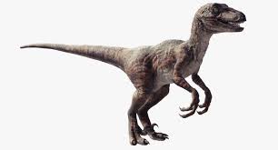 3d Raptor Dinosaur Model Raptor Dinosaur Raptor Dinosaur