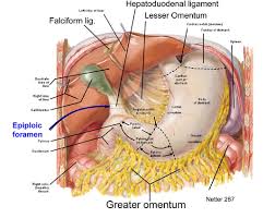 Maybe you would like to learn more about one of these? Text Of The Golden Treatise The Golden Treatise Tibb Al Rida Al Islam Org