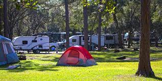 National Forests In Florida Camping Cabins